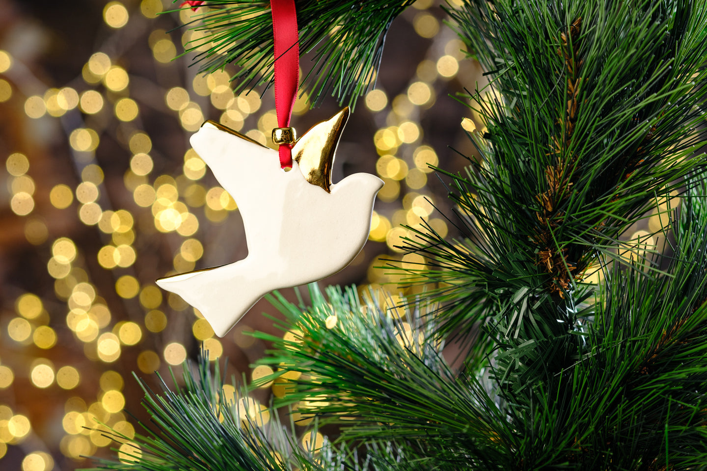 New 2025 design 'Saor' ~ free